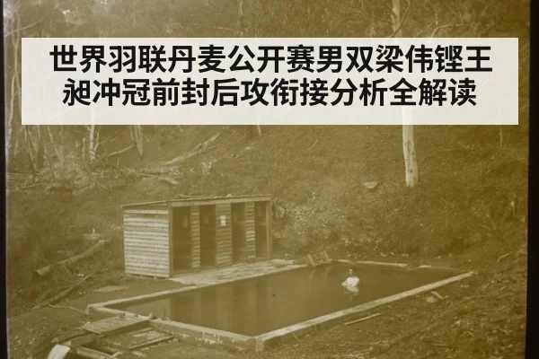 世界羽联丹麦公开赛男双梁伟铿王昶冲冠前封后攻衔接分析全解读