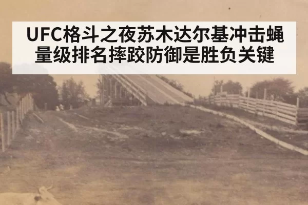 UFC格斗之夜苏木达尔基冲击蝇量级排名摔跤防御是胜负关键